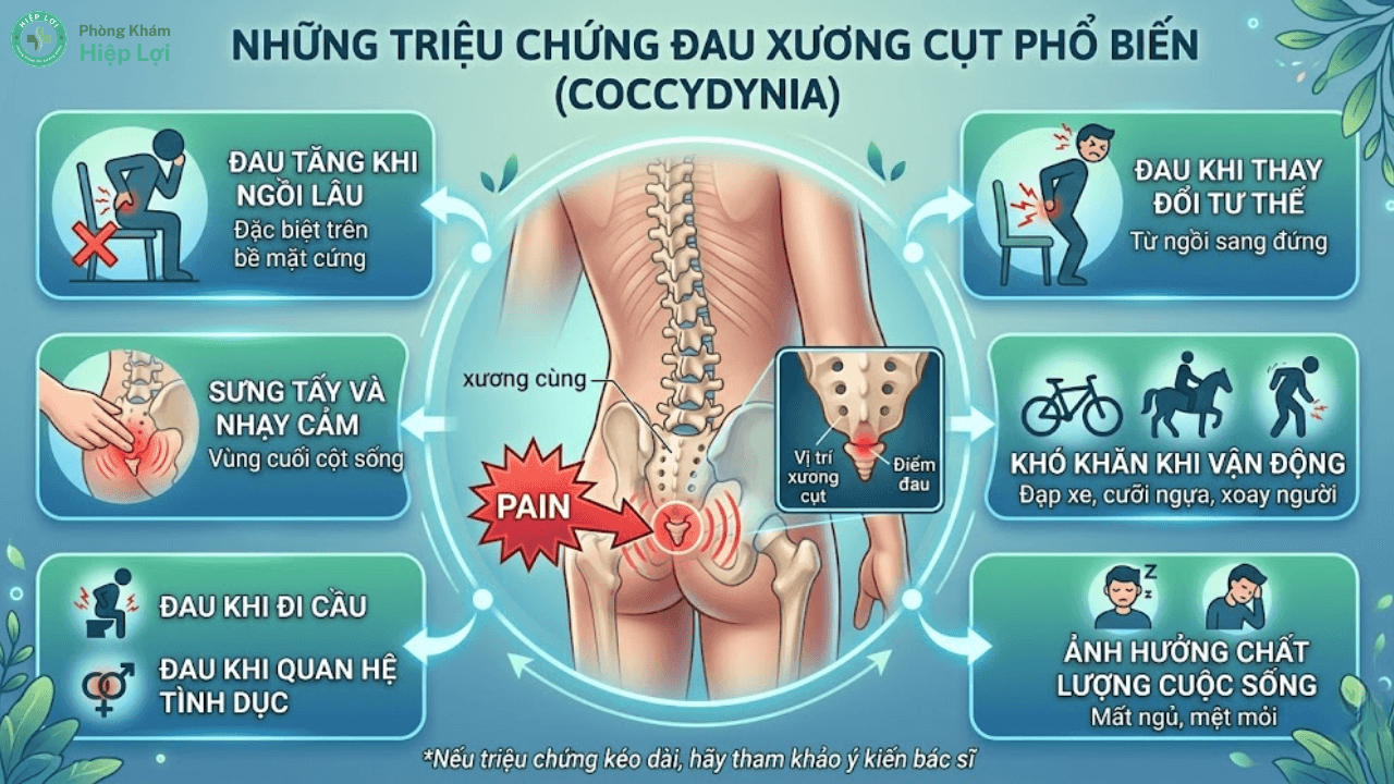Đau Xương Cụt Là Bệnh Gì? Nguyên Nhân Cốt Lõi Và Cách Điều Trị - Phòng khám Hiệp Lợi