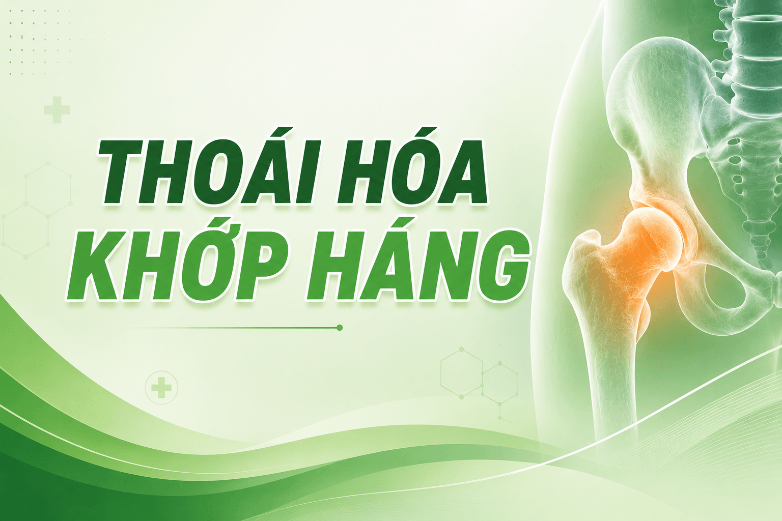 Thoái hóa khớp háng gây đau vùng bẹn và hạn chế vận động — nhận biết sớm giúp điều trị hiệu quả hơn.